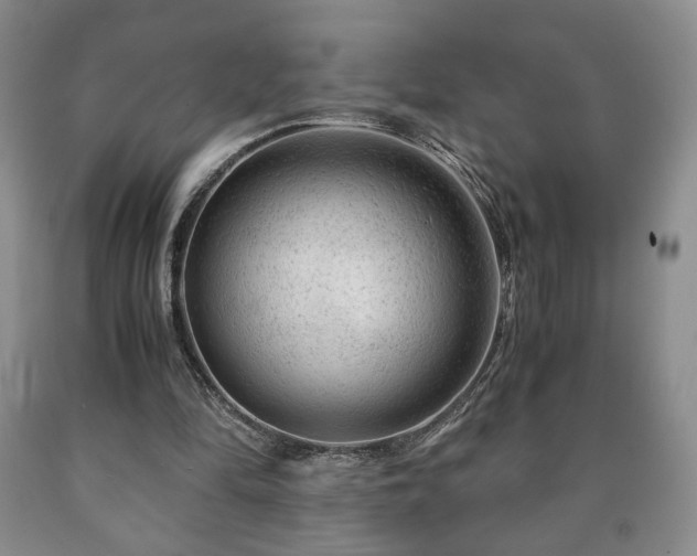 X0000090600294200707241050