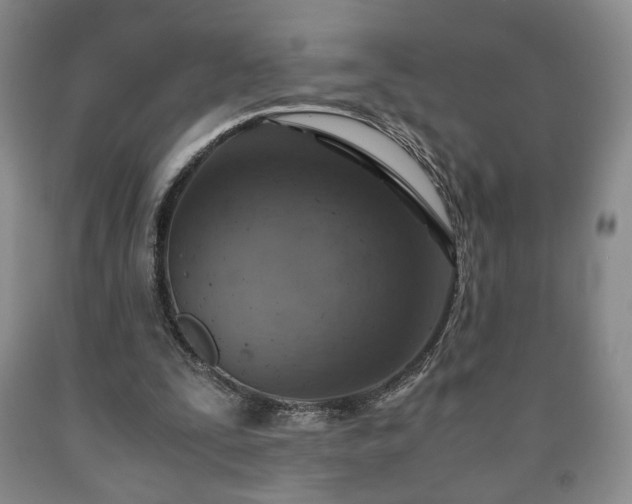 X0000090600295200707241050