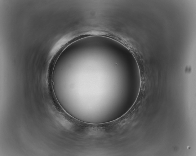 X0000090600296200707241050