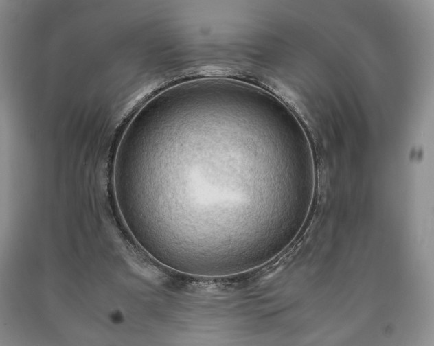 X0000090600297200707241050