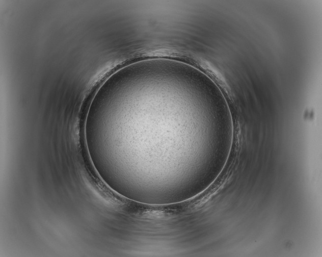 X0000090600298200707241050