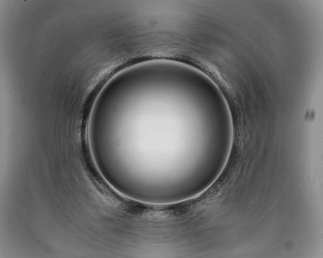 X0000090600299200707241050