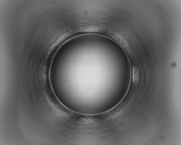 X0000090600300200707241050