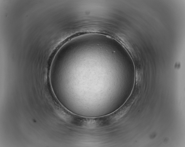 X0000090600301200707241050