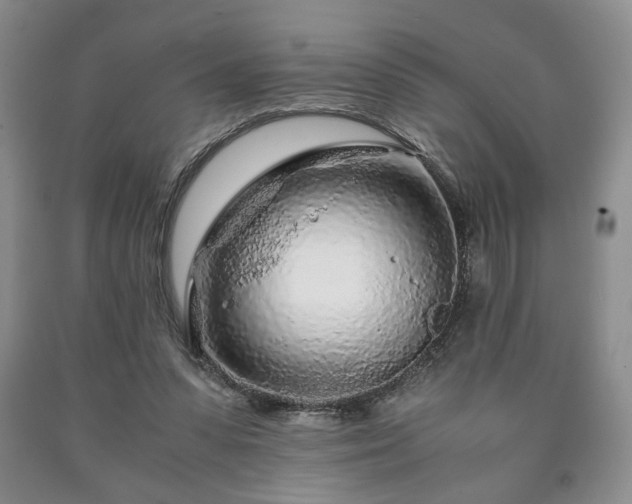 X0000090600303200707241050