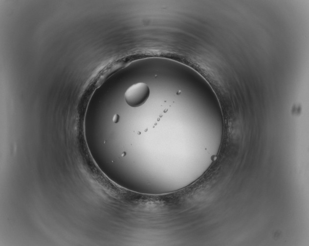 X0000090600304200707241050