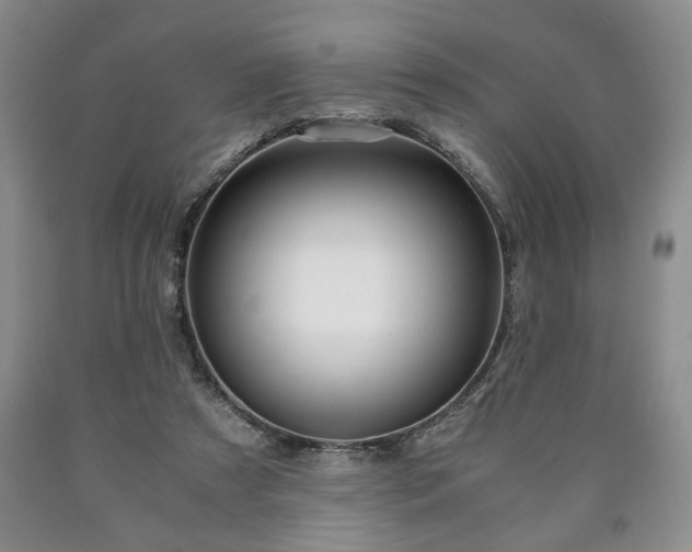 X0000090600305200707241050