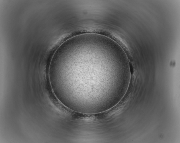 X0000090600306200707241050