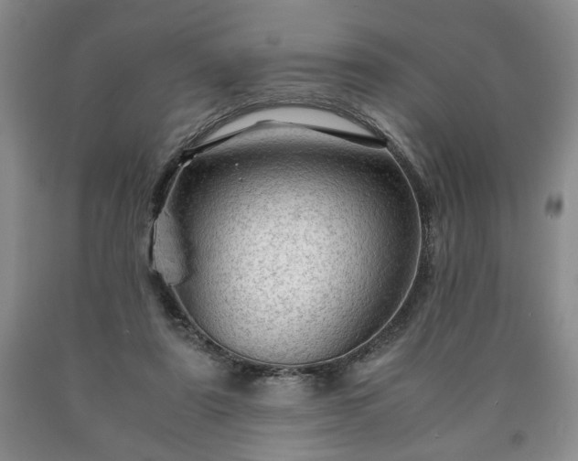 X0000090600307200707241050