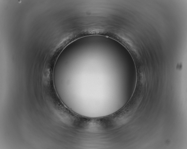 X0000090600308200707241050