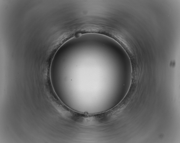 X0000090600309200707241049