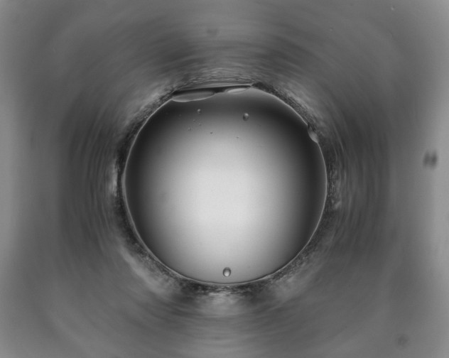 X0000090600310200707241049