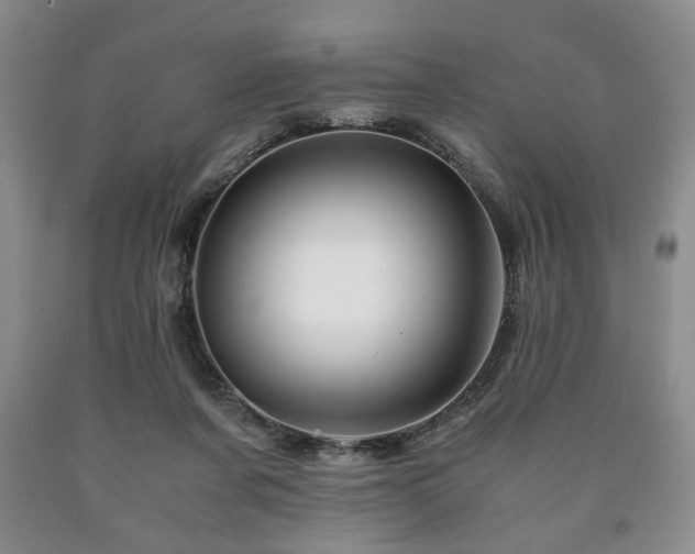 X0000090600311200707241049