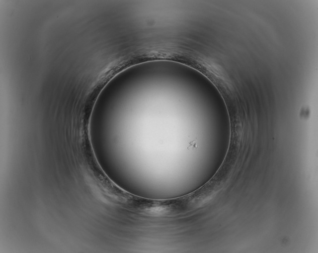 X0000090600312200707241049