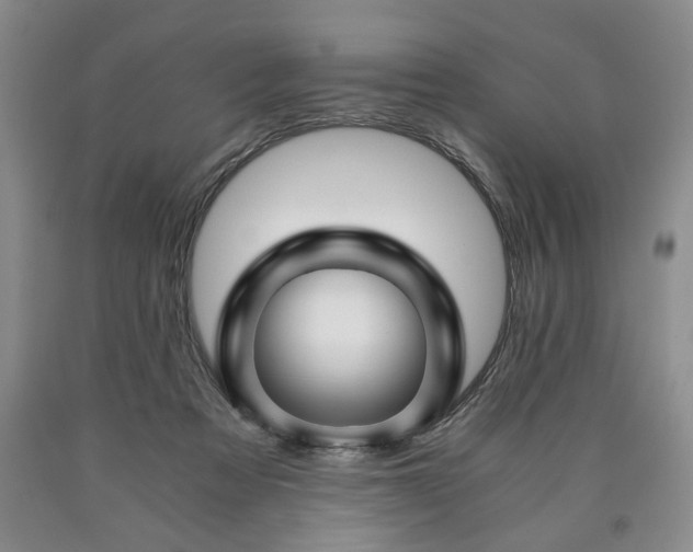 X0000090600313200707241049