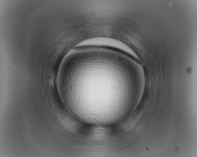 X0000090600315200707241049