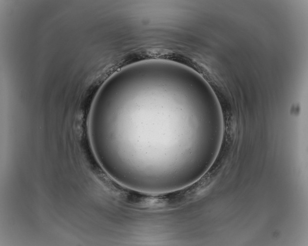 X0000090600319200707241049