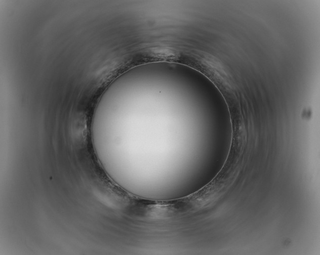 X0000090600320200707241049