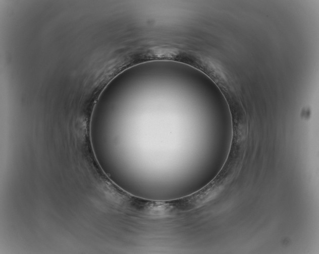 X0000090600321200707241049