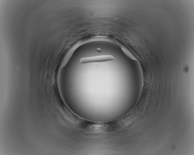 X0000090600323200707241049