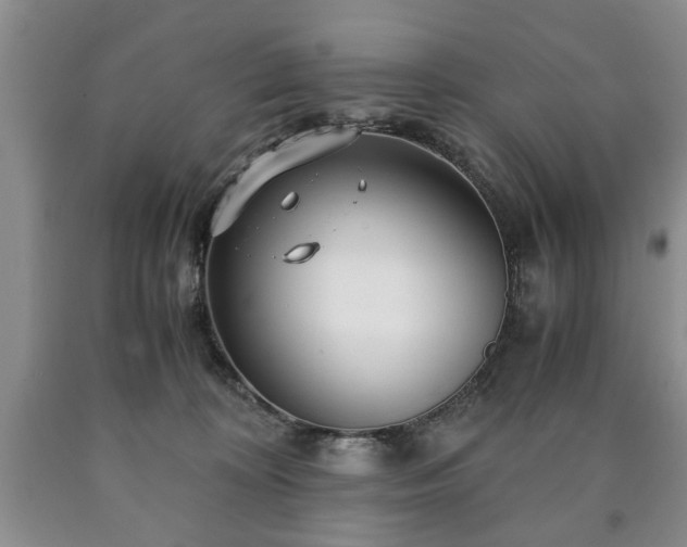 X0000090600324200707241049