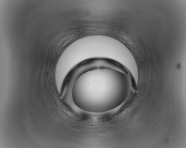 X0000090600325200707241049