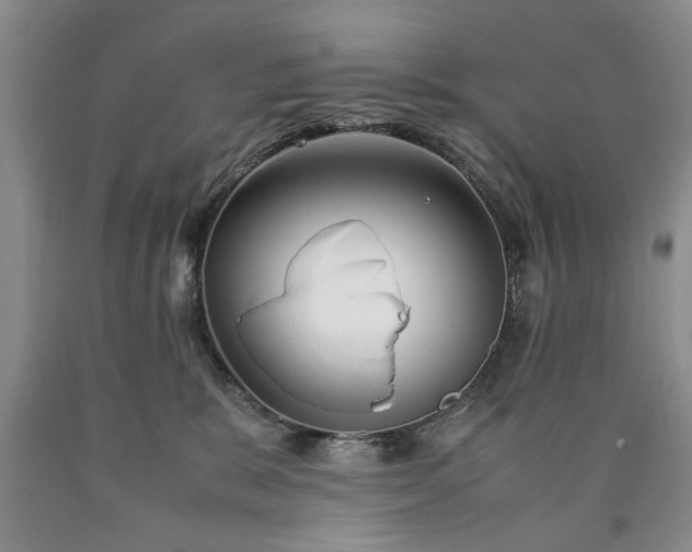 X0000090600327200707241049