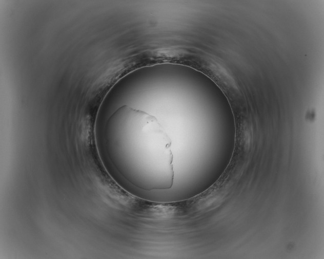 X0000090600328200707241049