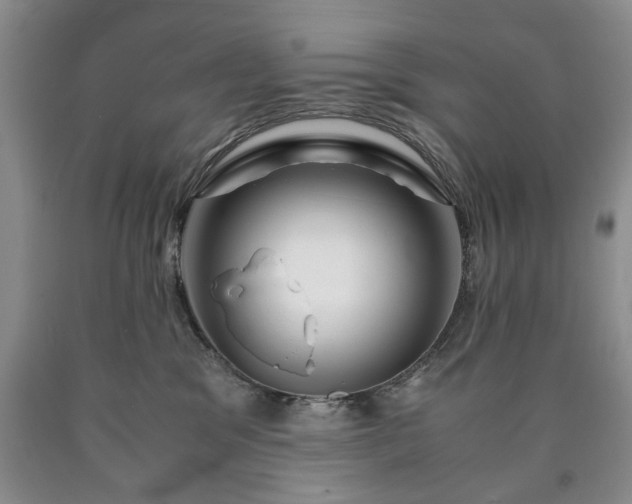 X0000090600329200707241049