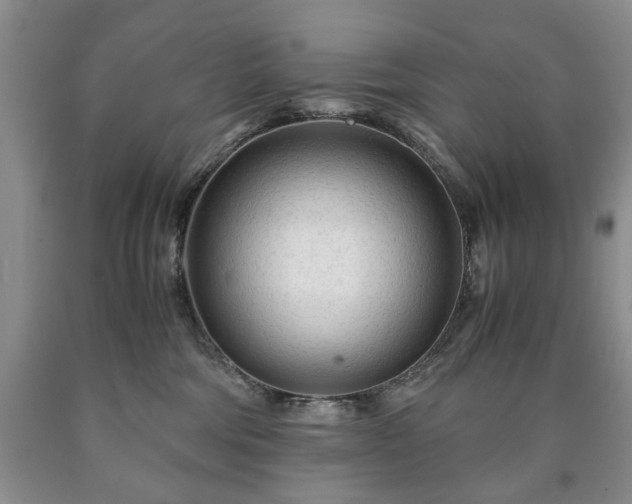 X0000090600330200707241049