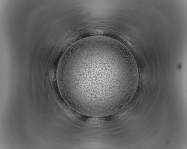 X0000090600331200707241049