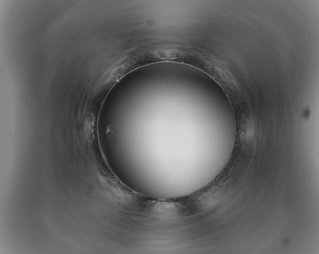 X0000090600332200707241049