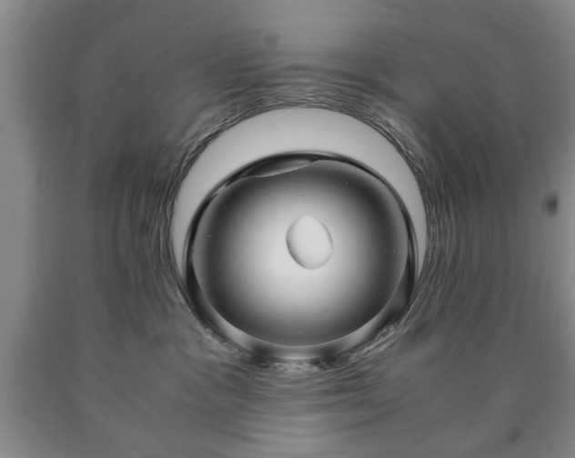 X0000090600333200707241049