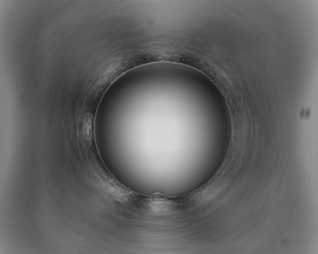 X0000090600336200707241049