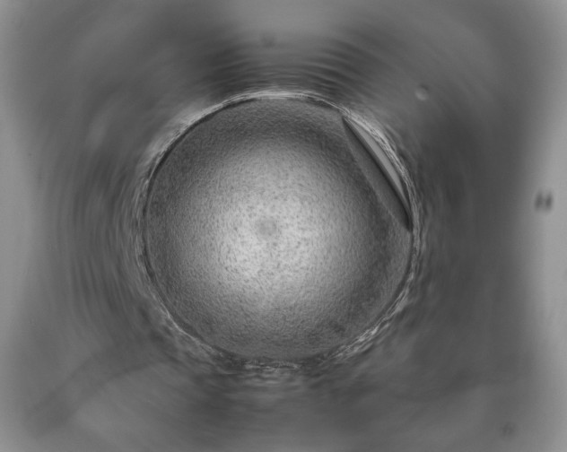 X0000090600337200707241048