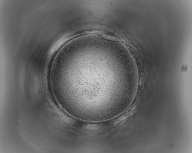 X0000090600341200707241049