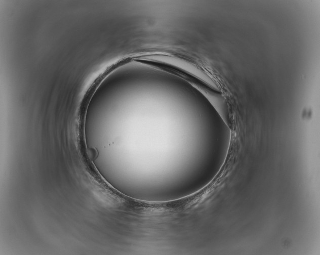 X0000090600342200707241049