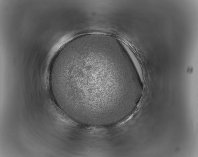 X0000090600343200707241049