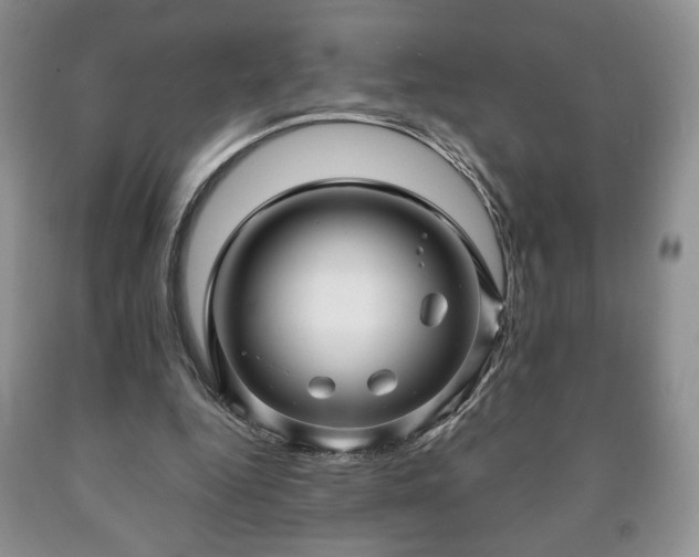 X0000090600344200707241049