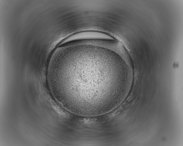 X0000090600345200707241049