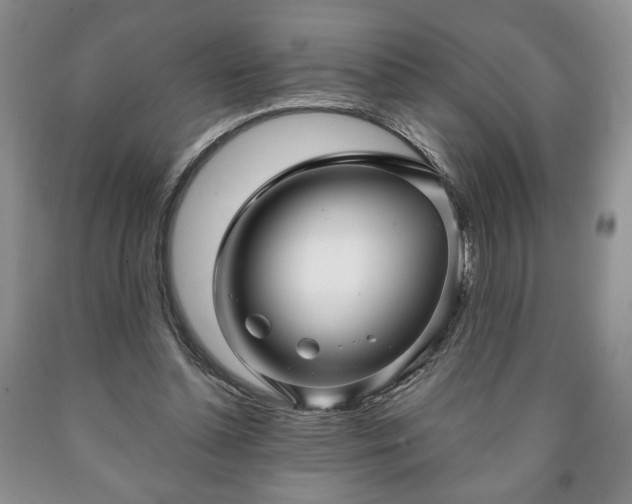 X0000090600348200707241049