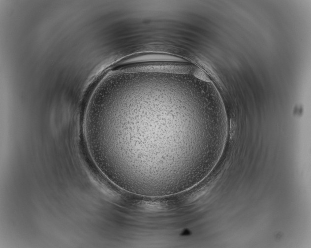 X0000090600349200707241049