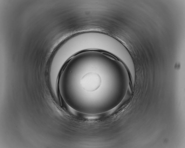 X0000090600350200707241049