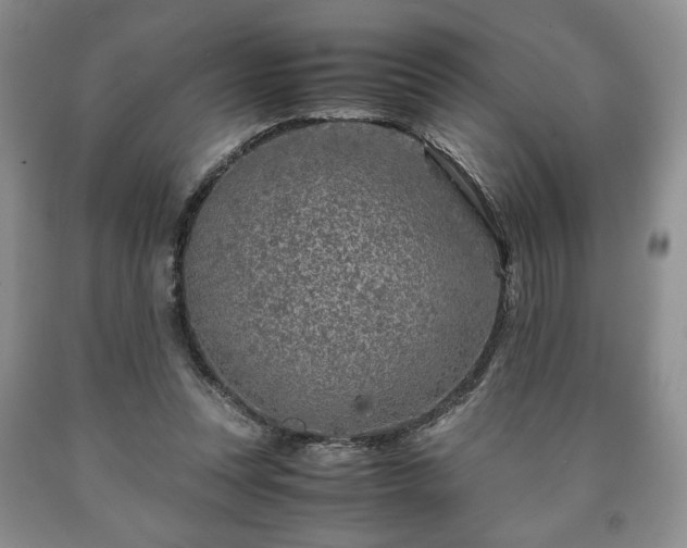 X0000090600351200707241049