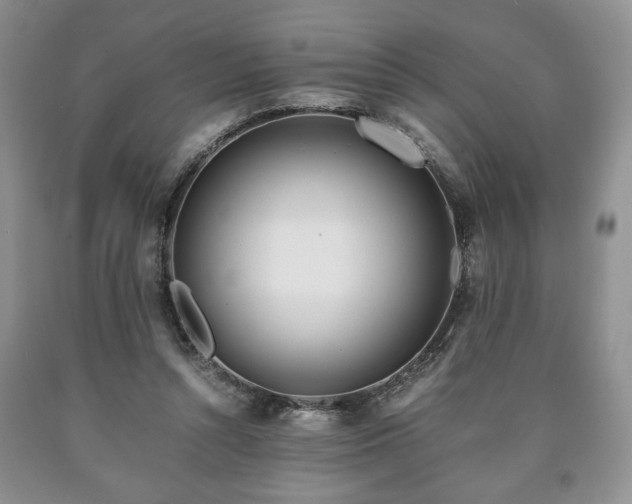 X0000090600352200707241049