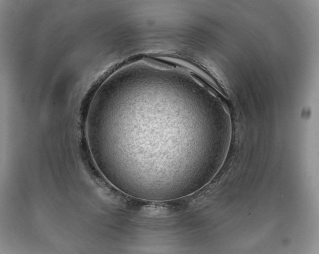 X0000090600354200707241049