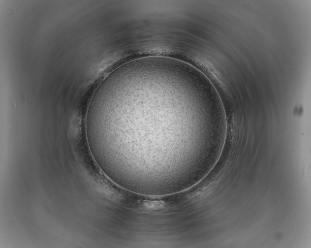 X0000090600355200707241049