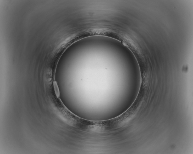 X0000090600356200707241049