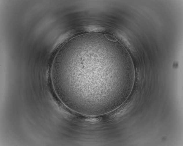 X0000090600357200707241049