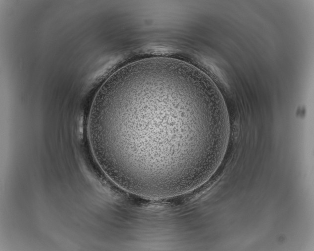 X0000090600358200707241049